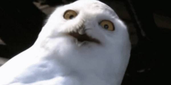 Quand je vois tous les logs rouges qui défilent dans ma console