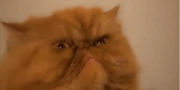 Quand je prends connaissance des tickets qu'on m'a attribués pour la semaine