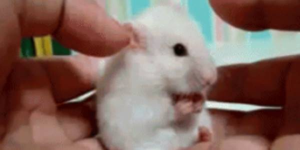 Quand le chef me dit qu'il ne va pas falloir compter sur la prime de fin d'année cette fois