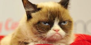 Plaisir de développeur