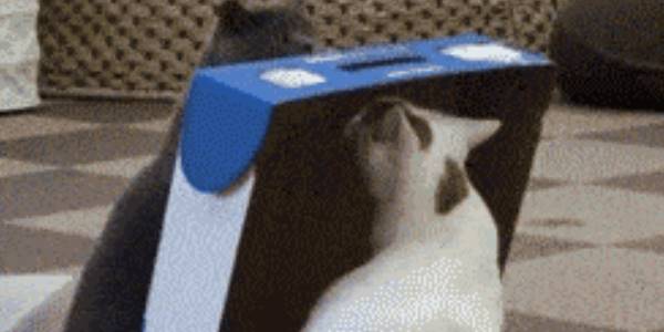 Quand l'ingé réseaux change la config du serveur et que les appels d'API externes ne passent plus