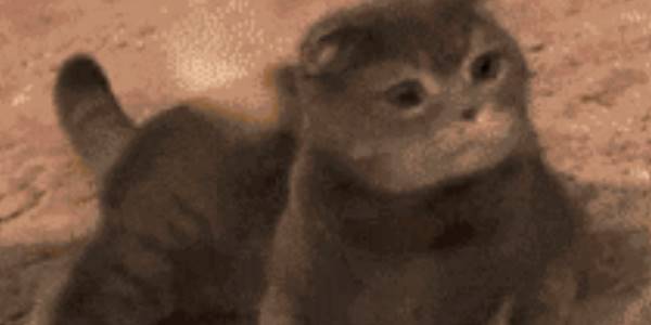 Quand le bug se situe dans un bout de code auquel j'avais même pas pensé