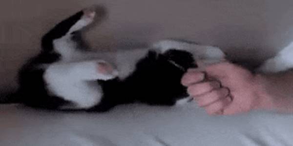 Quand le chef me dit qu'il a besoin que quelqu'un mette à jour la doc