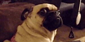 Quand le client me dit qu'il peut pas valider le formulaire car "ça dit qu'il y a des champs obligatoires"