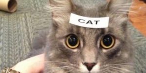 Un code bien commenté, c'est important 👌