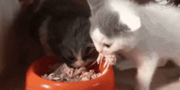 Quand quelqu'un cherche à faire des modifs sur mon code