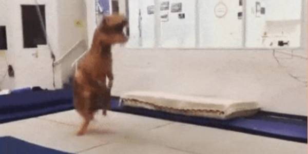 Quand je fais une démo au client