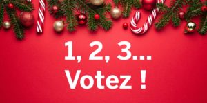Concours de Noël Les Joies du Code - C'est le moment de voter pour les 5 gifs retenus !