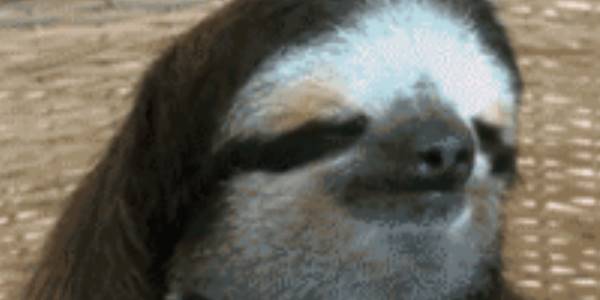 Quand mon IDE m'affiche plein de warnings quand j'ai commencé à taper une ligne de code