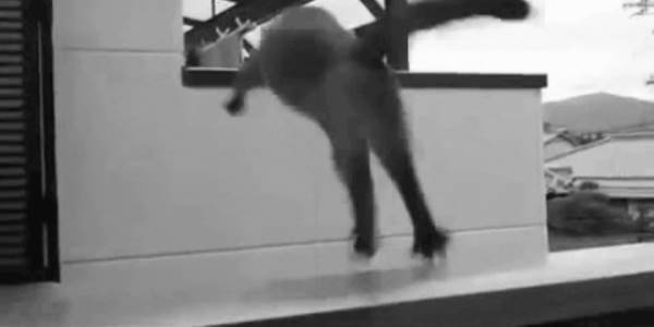 Quand je me lance sur le passage en production