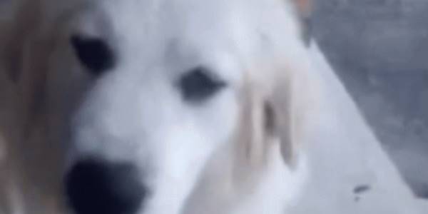 Quand on me transfère un ticket et que ça concerne un bug CSS