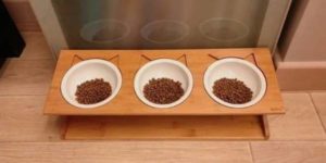 C'était beau d'y croire 😏