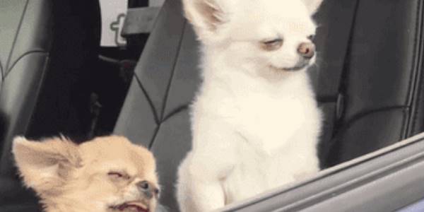 Quand je me connecte au daily du lundi matin après avoir passé le week-end à coder