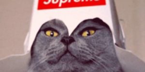 Quand je passe tech lead