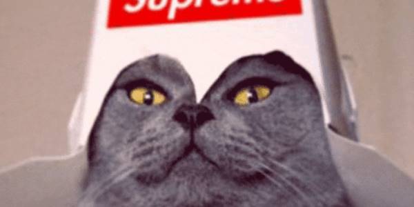 Quand je passe tech lead