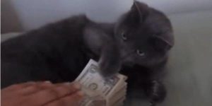 Quand je parle budget avec le client