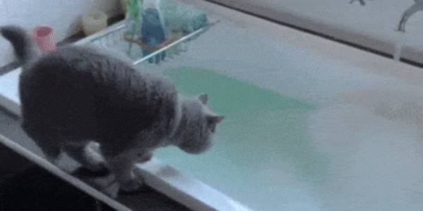 Quand le commercial clique sur notre bouton de test pendant sa démo