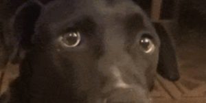 Quand je vois les erreurs défiler juste après mon passage en prod