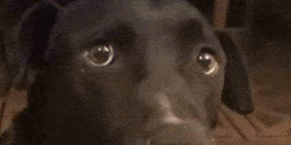 Quand je vois les erreurs défiler juste après mon passage en prod