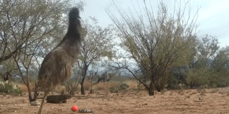 Quand un client nous remonte un nouveau bug