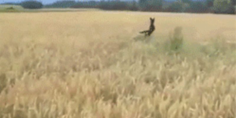 Quand on me demande de commencer le projet sans les specs