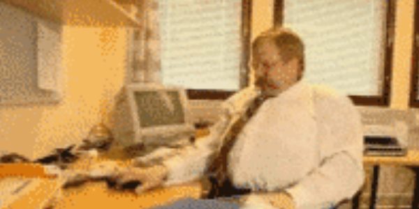 Quand je dois reprendre mes corrections de bugs le lundi matin