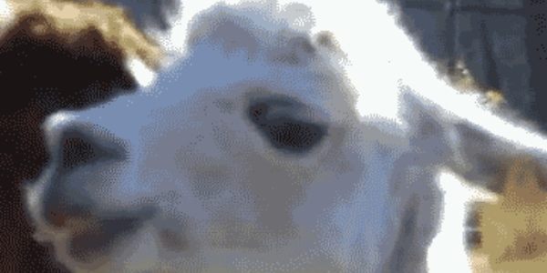 Quand le binôme m'annonce qu'il a modifié "un petit truc de rien du tout" dans mon code