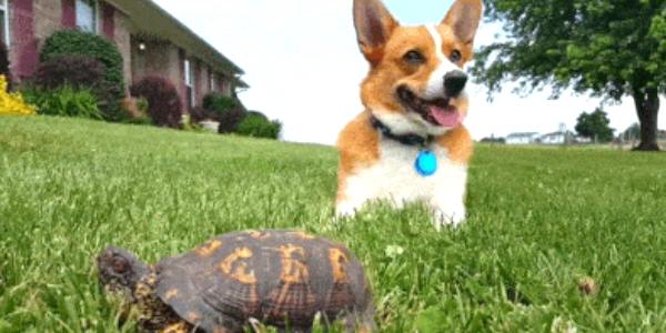 Quand je découvre comment fonctionne du code historique