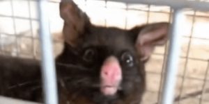 Quand je réalise que c'est pas des comptes de test que j'ai supprimé mais des comptes de prod