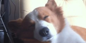 Quand je me réveille en retard et que je me rends compte que le daily a déjà commencé