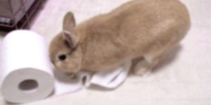 Quand je cherche une réponse dans la doc