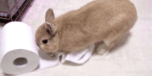 Quand je cherche une réponse dans la doc