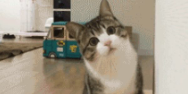 Quand je trouve une fonction toute faite qui me fait gagner plusieurs heures de dev