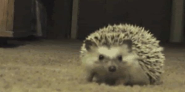 Quand le chef commence à parler d'une mise en prod vendredi aprèm