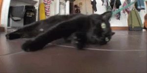 Quand le chef me demande de participer à une réunion avec les commerciaux