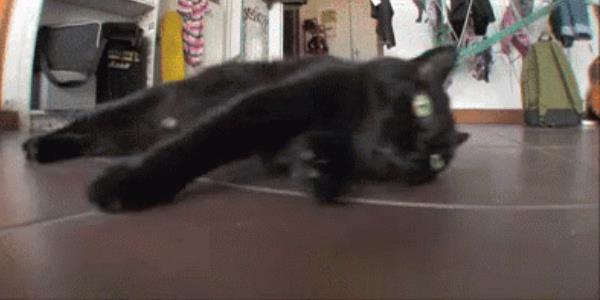 Quand le chef me demande de participer à une réunion avec les commerciaux