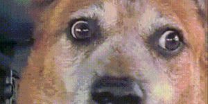 Quand je participe à une réunion "brainstorm" des commerciaux