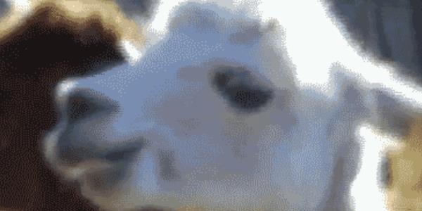 Quand le binôme me dit qu'il a modifié un petit truc dans mon code