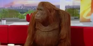 À chaque jour suffit son npm