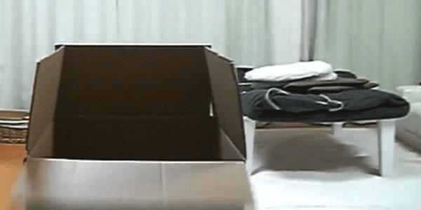 Quand je tombe sur une boucle infinie