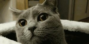 Quand j'ai oublié un point-virgule dans mon code