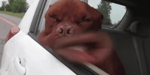 Quand j'entre dans la salle serveur