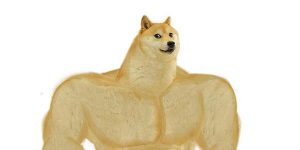 Cœur sur Python cependant