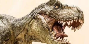 "On envisage de créer un site comme leboncoin"