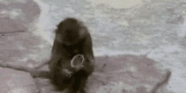 Quand je fais un git blame et que le code est de moi