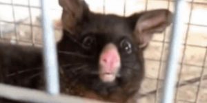 Quand je sors d'une journée passée à faire du support utilisateur