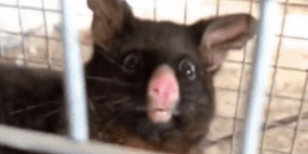 Quand je sors d'une journée passée à faire du support utilisateur