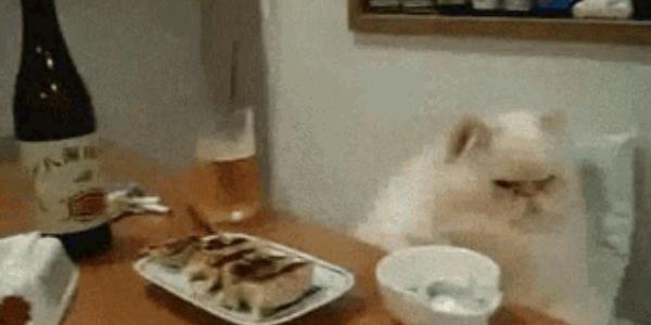 Quand j'essaie d'exécuter le code d'un autre développeur