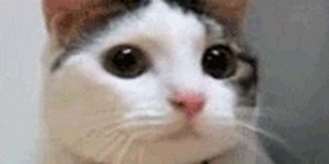 Quand j'ai mis un log level un peu trop élevé