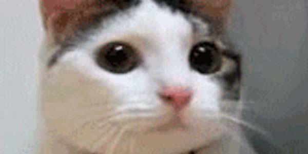 Quand j'ai mis un log level un peu trop élevé